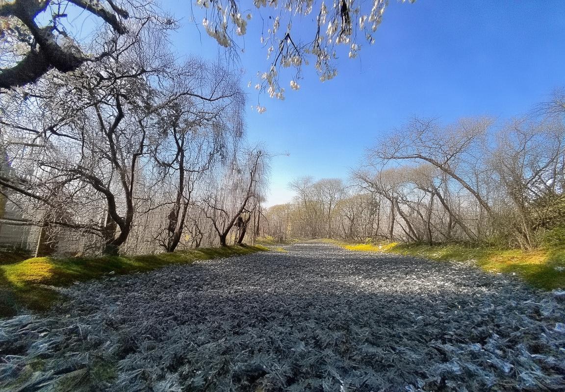 巴伦西亚VS巴利亚：悬念迭起，核心对决火花四溅(图2)