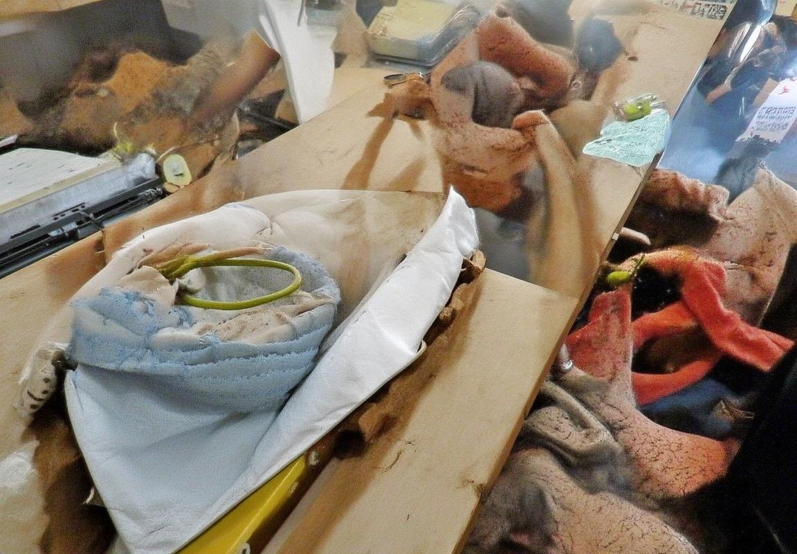 2023年3月18日NBA焦点战：掘金对快船，季后赛席位争夺战前瞻分析(图2)